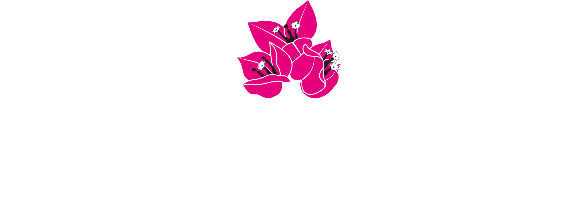 Bougainville logo white magenta